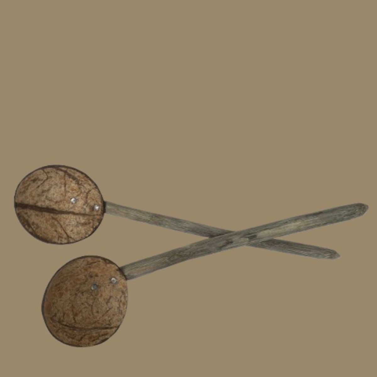 Coconut Shell Wooden Ladle