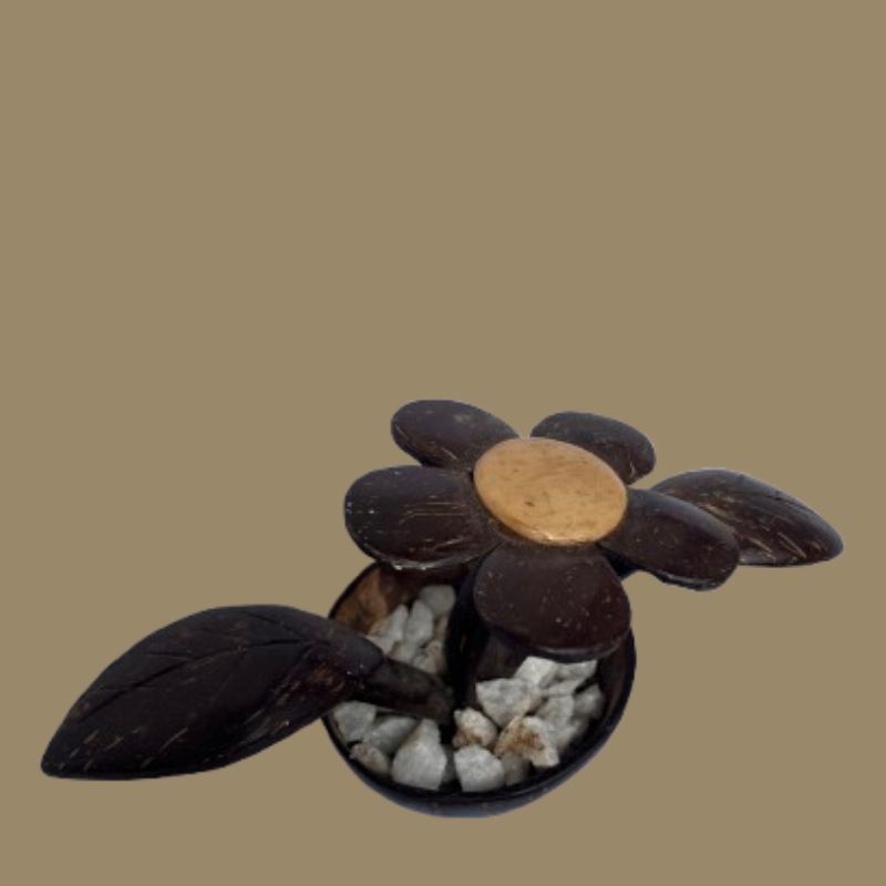  Coconut Shell Decorative Flowerpot