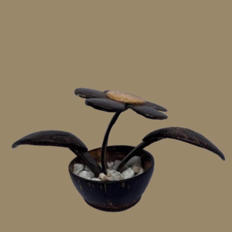  Coconut Shell Decorative Flowerpot
