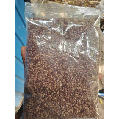 Mottai Karuppan Rice