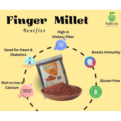 Finger millet 