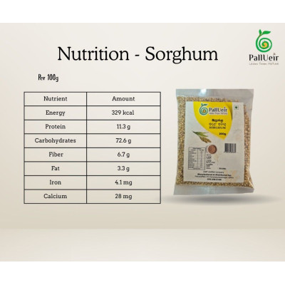 Sorghum millet