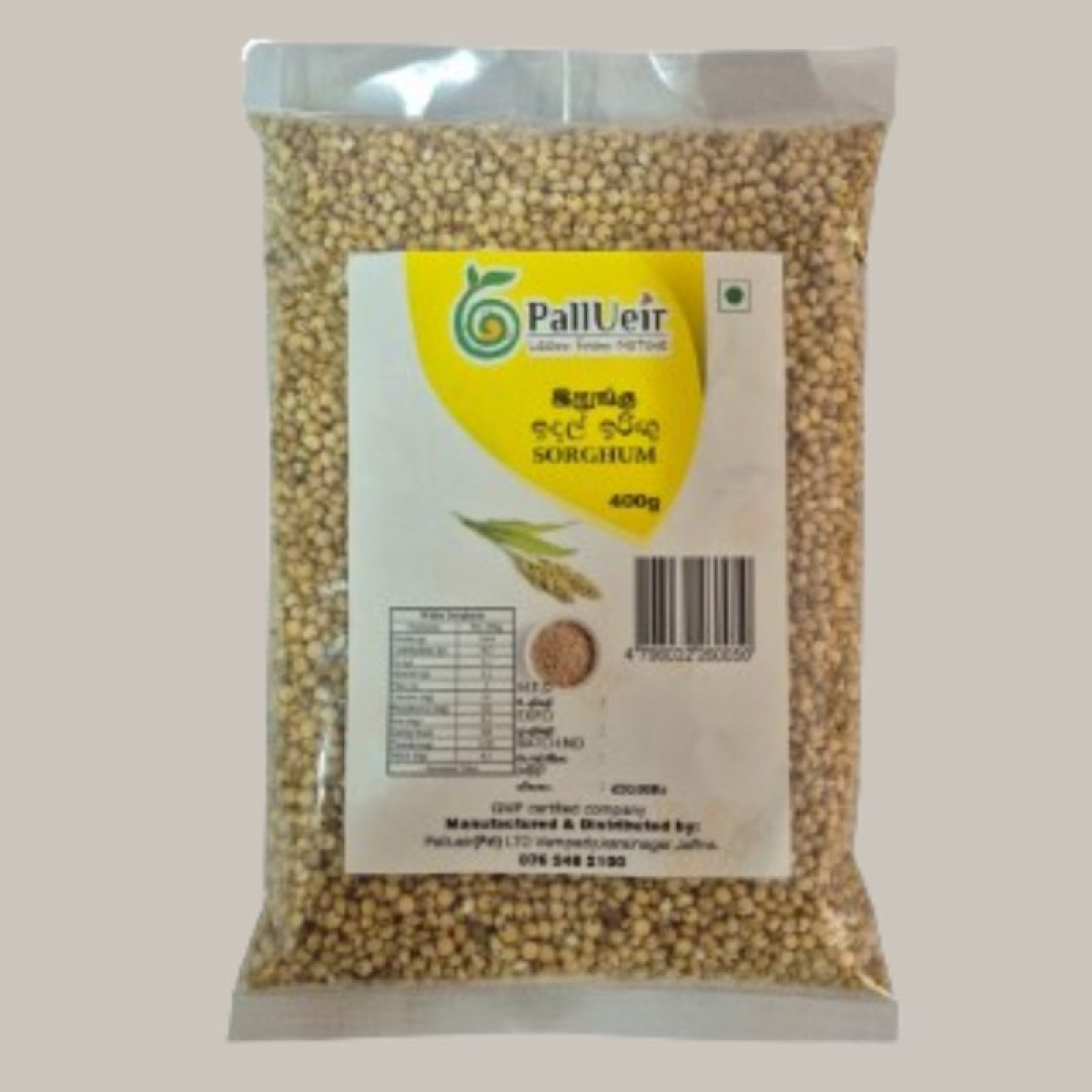 Sorghum millet