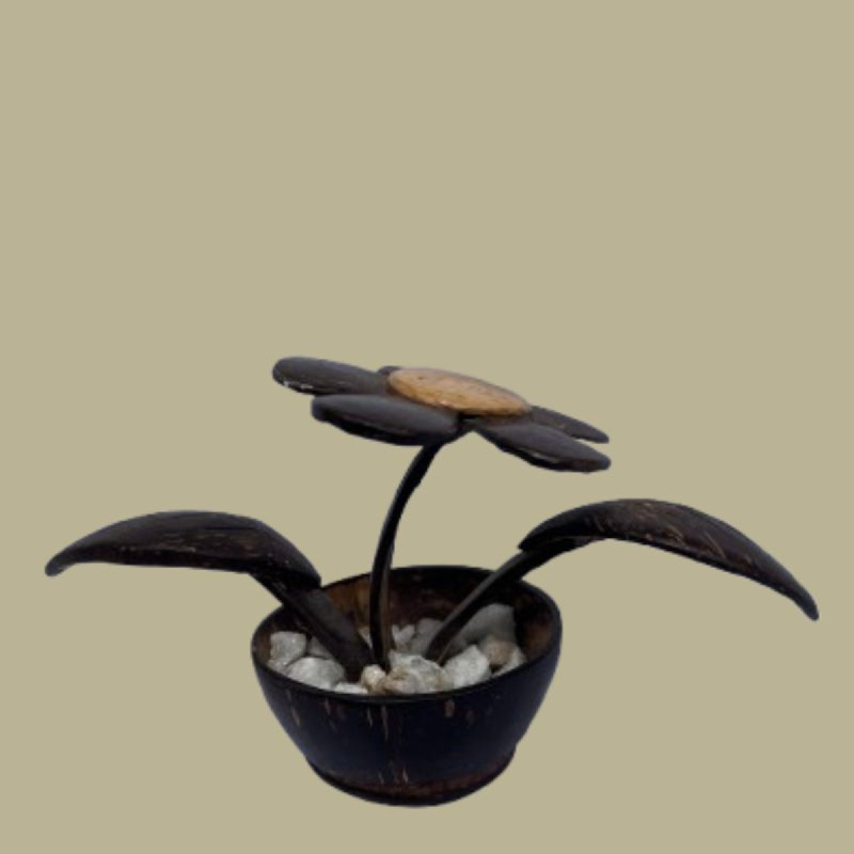  Coconut Shell Decorative Flowerpot